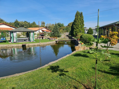 Vila de lux cu iaz si piscina zona rezidentiala de vanzare in Sebes