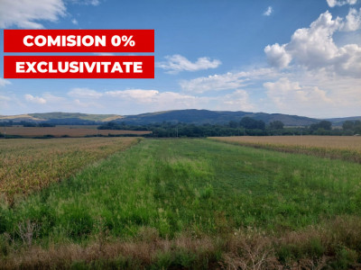 Teren extravilan agricol 6634mp utilitati in zona Santimbru Alba Iulia