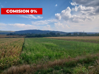 Teren extravilan agricol 5265 mp utilitati in zona Oarda Alba Iulia