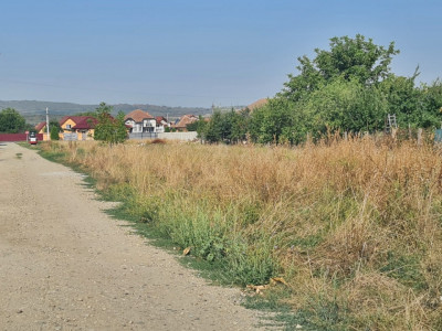 Teren intravilan de vanzare in Petresti-Sebes