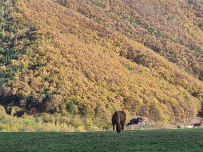 Teren 5000 mp oportunitate investitie turistica Gura Raului Sibiu