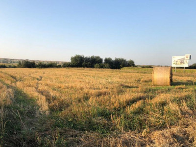 Terenuri de vanzare Sibiu Viile Sibiului imagine mica 1