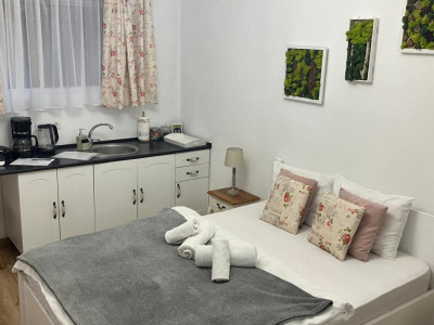 Apartamente de vanzare Sibiu Central imagine mica 5