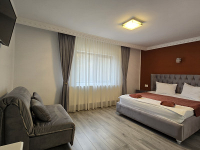 Hoteluri de vanzare Orlat imagine mica 21