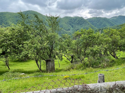 Teren intravilan de vanzare in Martinia de sus