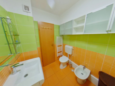 Apartamente de inchiriat Brasov Racadau imagine mica 9