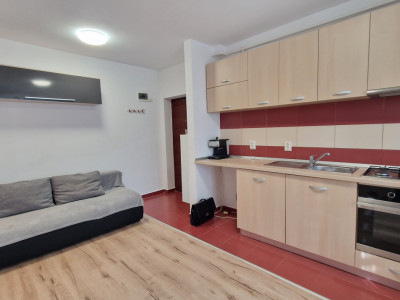 Apartament cu gradina de vanzare 2 camere Calea Surii Mici