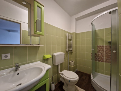 Apartamente de inchiriat Sibiu Vasile Aaron imagine mica 6