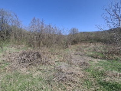 Terenuri de vanzare Slimnic imagine mica 2