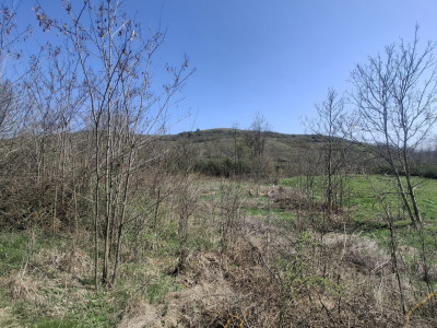 Teren de vanzare 1450 mp intravilan Slimnic Sibiu