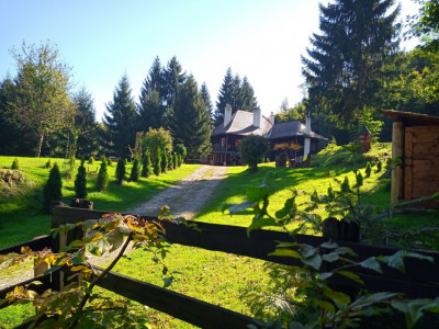 Hoteluri de vanzare Cisnadie imagine mica 2