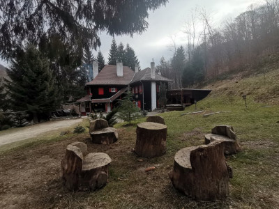 Hoteluri de vanzare Cisnadie imagine mica 5