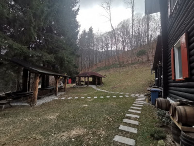 Hoteluri de vanzare Cisnadie imagine mica 31