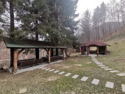 Hoteluri de vanzare Cisnadie imagine mica 32