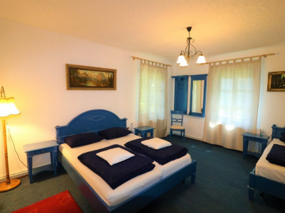 Hoteluri de vanzare Cisnadie imagine mica 45