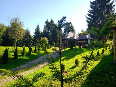 Hoteluri de vanzare Cisnadie imagine mica 51