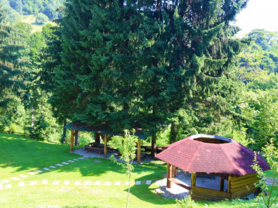 Hoteluri de vanzare Cisnadie imagine mica 52