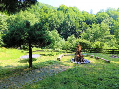 Hoteluri de vanzare Cisnadie imagine mica 54