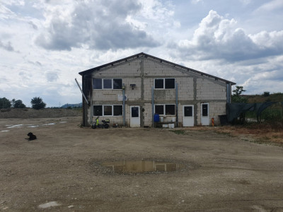 Spatii industriale de vanzare Dridif imagine mica 2
