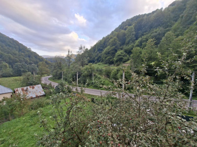 Case de vanzare Valea Macesului imagine mica 42