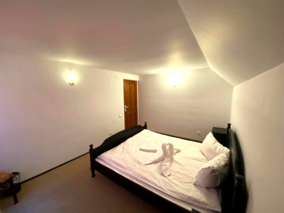 Hoteluri de vanzare Rasinari imagine mica 6