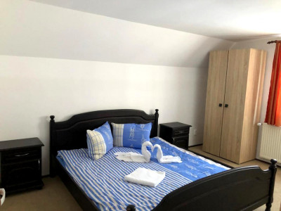 Hoteluri de vanzare Rasinari imagine mica 7