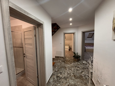Case de vanzare Sibiu Terezian imagine mica 22