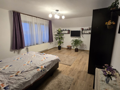 Case de vanzare Sibiu Piata Cluj imagine mica 3