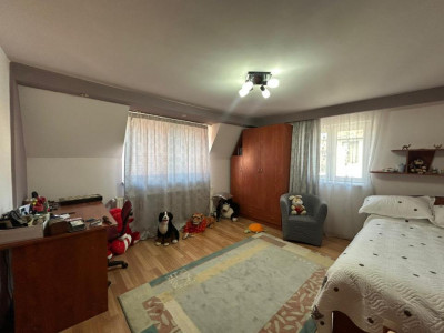 Case de vanzare Sibiu Turnisor imagine mica 29