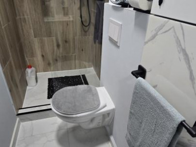 Apartamente de vanzare Sibiu Lazaret imagine mica 7