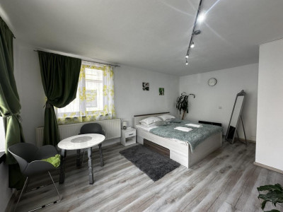 Apartament de vanzare 2 camere pretabil spatiu comercial strada Ocnei