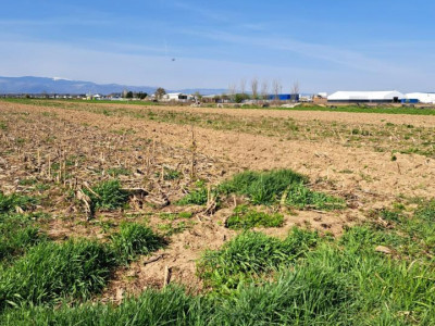 Terenuri de vanzare Sibiu Selimbar imagine mica 3