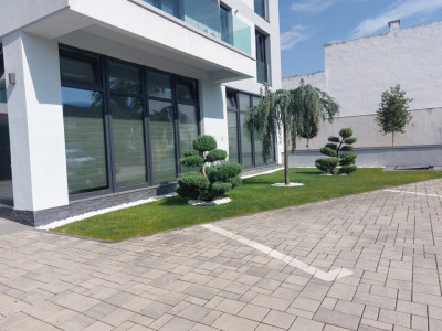 Spatii birouri de inchiriat Sibiu Calea Dumbravii imagine mica 2