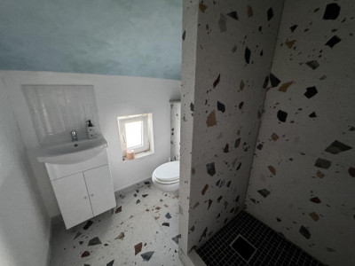 Case de vanzare Rasinari imagine mica 29