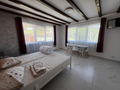 Hoteluri de vanzare Rasinari imagine mica 21