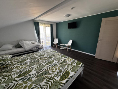 Hoteluri de vanzare Rasinari imagine mica 27