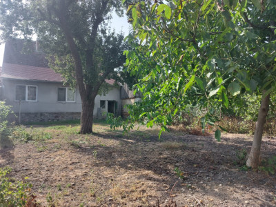 Casa si curte individuala 2 corpuri de casa separate 4 camere gradina 