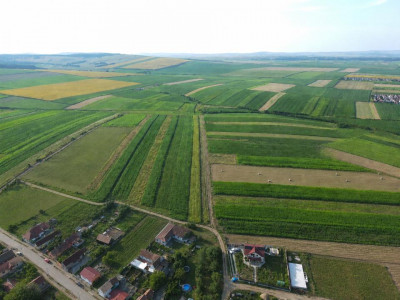 Teren cu PUZ aprobat pentru casa individuala in Sura Mica