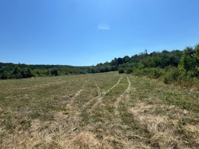 Teren extravilan 2700 mp oportunitate investitie Calea Poplacii Sibiu