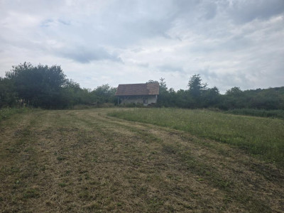 Teren de vanzare 8700 mp cu un front de 30m in Sura Mare