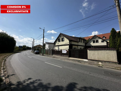 Casa individuala de vanzare si acces auto in curte pe malul Cibinului