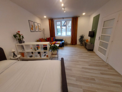 Garsoniera de vanzare 43 mpu pivnita zona Orasul de Jos Sibiu