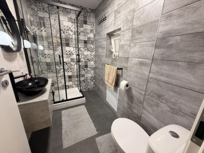 Case de vanzare Sura Mare imagine mica 7
