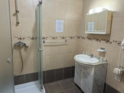 Hoteluri de vanzare Rasinari imagine mica 7