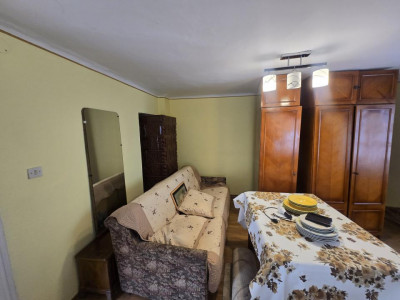 Case de vanzare Sibiu Turnisor imagine mica 29