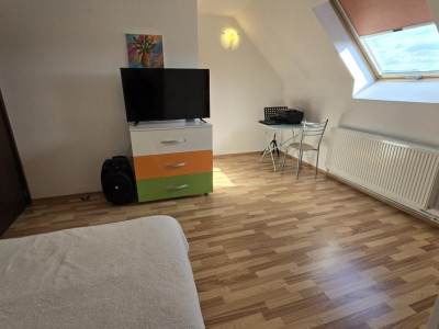 Apartamente de vanzare Sibiu Turnisor imagine mica 11