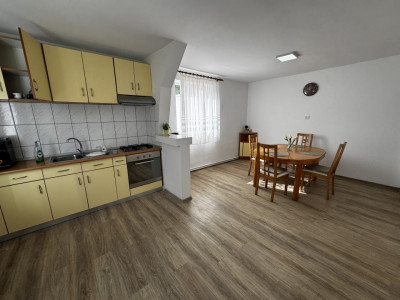 Case de inchiriat Sibiu Lazaret imagine mica 7