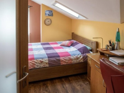 Apartamente de vanzare Gilau imagine mica 3