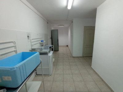 Spatii comerciale de inchiriat Sibiu Turnisor imagine mica 8